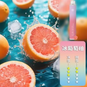 冰葡萄柚|ILIA 6500口一次性 哩亞4代拋棄式 重複充電